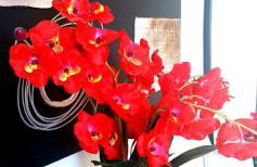 FIRST Beach line - Foto 36