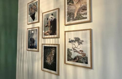 Studio Savane - 5 min du Zoo - Photo 10