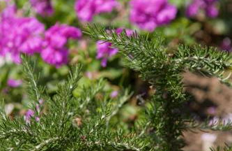 Residence Le Vigne - Foto 47