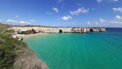 Azienda Agrituristica B&B La Torre - Foto 5