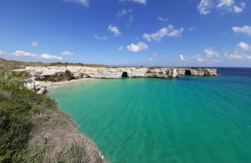 Azienda Agrituristica B&B La Torre - Photo 5