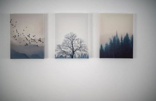 Modern Ground Floor Apartment in Tornagrain - Photo 10