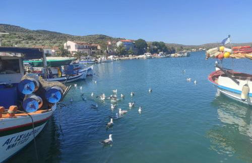 Ampelia home - Vacation home by the sea - Photo 42