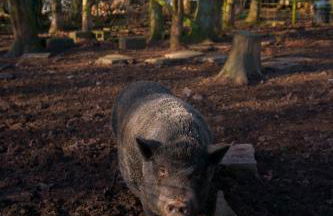 Meadow Barn - Foto 29