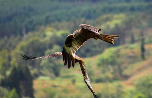 The Toll House - Photo 36