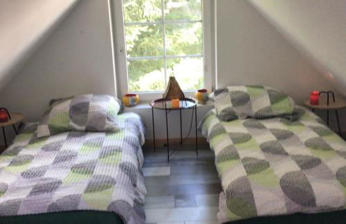 Welsh Dragon - Foto 35