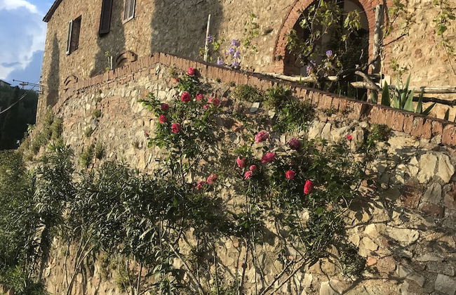 Fattoria Il Santo - Foto 1