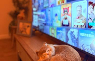 Grand Haven Dudley - Foto 16