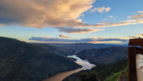 Casa da Oliveira - Foto 5