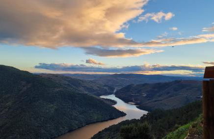 Casa da Oliveira - Foto 5