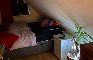 Hoch Hamburg, ein Traum unterm Dach - Foto 13