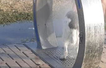 terraza al mar - Photo 78