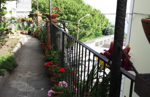 Le Mimose - Photo 58