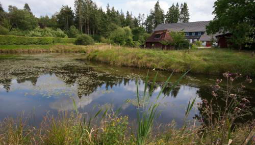 Blockhaus Quellental - Photo 4