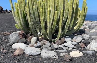 Basalto House 1 Tenerife South - Foto 31