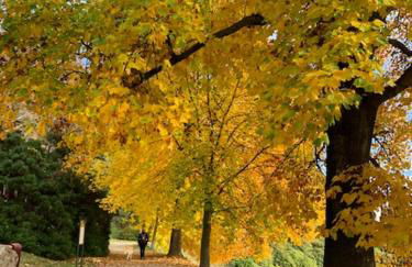 A CASA DI SISSI - Foto 30