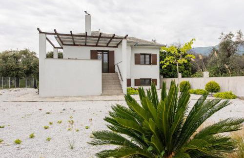 The Olive Home - Photo 24