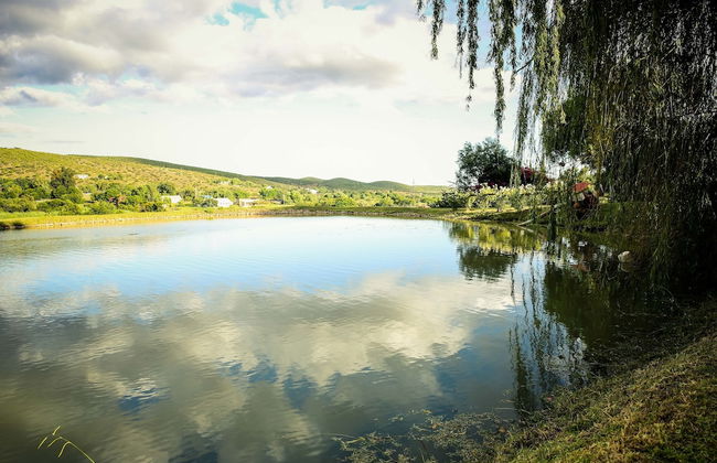 Oue Werf Country House - Foto 23