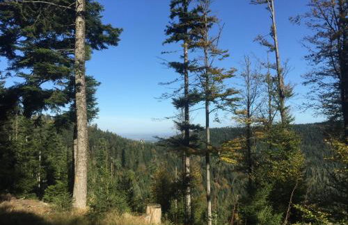 Maison indépendante, vue magnifique - Photo 37