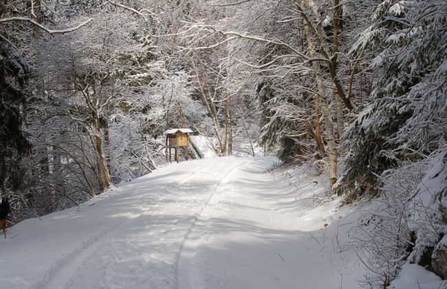 Doppelhaushalfte in Hasselfelde - Foto 29