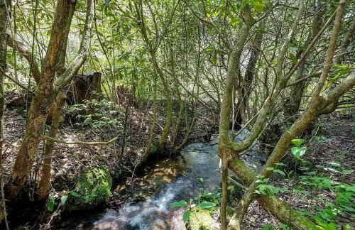 Beautiful Tranquil Mountain Home in Andrews, NC - Foto 18