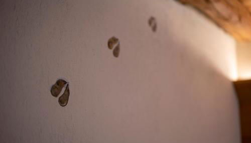 Casera Pian Grand Wellness Lodge - Foto 5