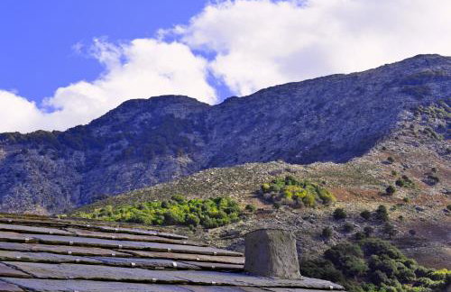 Endless green 1 Arethousa Ikaria - Photo 36