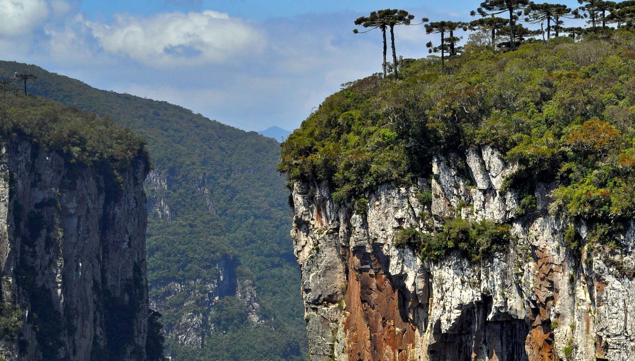 Escursione al canyon di Itaimbezinho