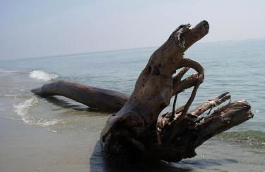 Résidence Santa - Foto 31