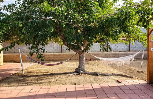 Tortoise Oasis - Hot tub, Shuffleboard, & More! - Foto 42