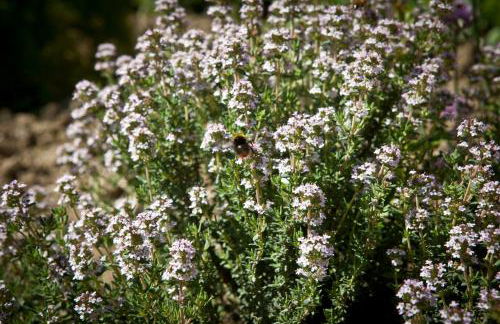 Relais Parco Del Subasio - Photo 63