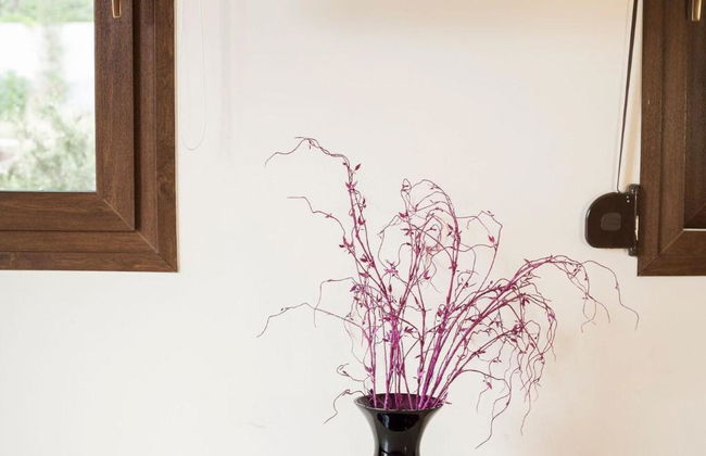 Areti Suites - Foto 36