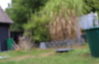 Waldtraum Wendland - Foto 11