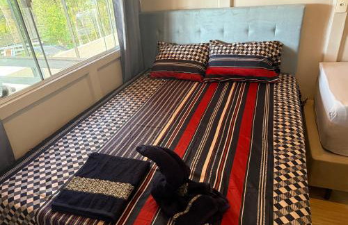 Chácara pontarolo - Foto 6