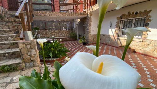 Apartamento Can Jaramills 2 - Photo 2, Garden