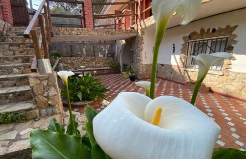 Apartamento Can Jaramills 2 - Photo 2