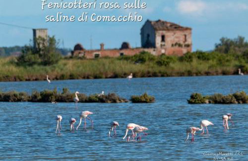 Ca' Elena - Foto 36