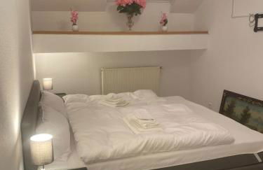 Ferienwohnung direkt am Rhein in Nierstein - Foto 37