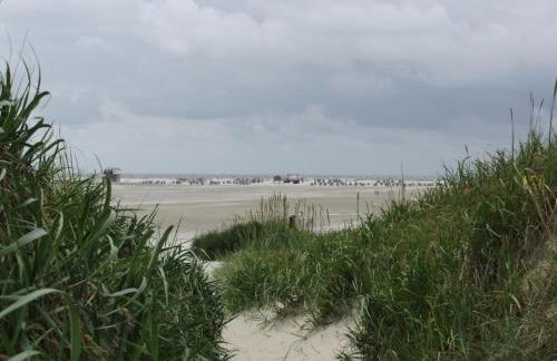 Ferienwohnung Suederbootfahrt - Ruheoase für Naturliebhaber in Katingsiel zwischen Tönning und St Peter Ording perfekt für Radtouren - Foto 38
