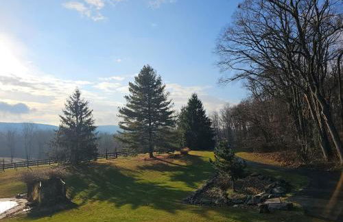 Vinewood Estate & Adventures - Foto 17