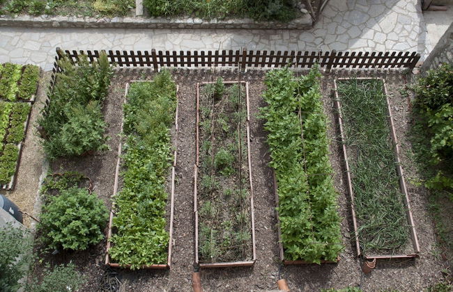 Moli del Caso - Photo 14