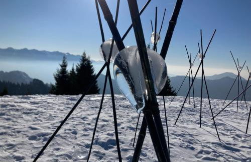 Tulipa Natural Home - Foto 9