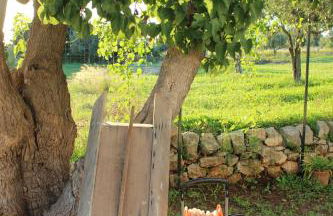 CASADORATA buen retiro vista mare - Foto 15