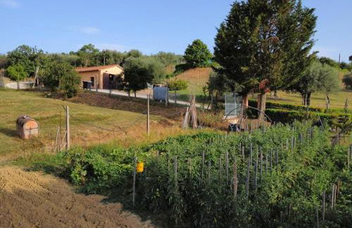 La Piaggiola degli Olivi - Foto 39