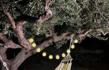 Apartman “Snježana” - Photo 4