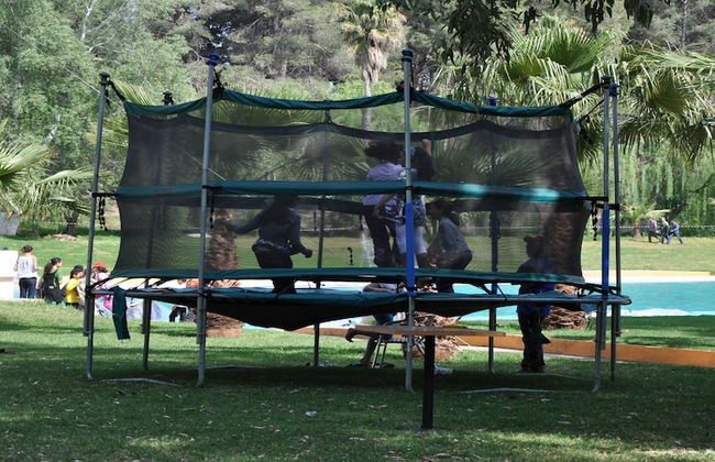 Diamant Vert - Photo 51