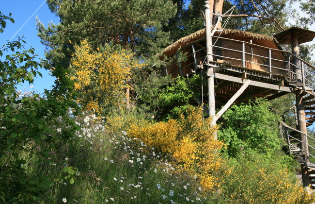 Domaine des Monédières - Chalet 6 pax - Foto 17