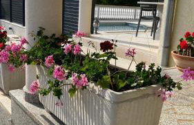 Apartment Komljenovic - Photo 21