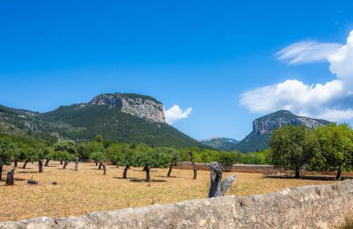 Son Fransi Alaro - Photo 38