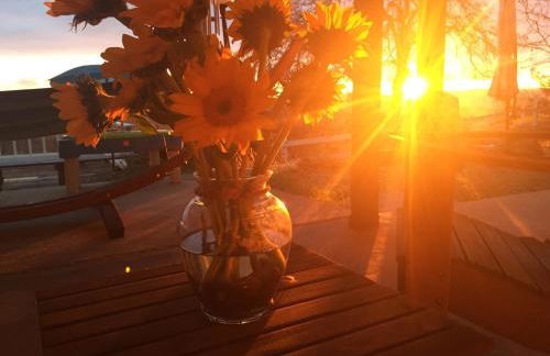 Moon Ranch - a gateway to Yosemite - Photo 45